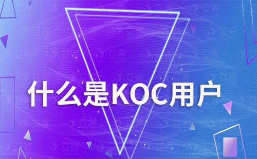 什么是KOC用户